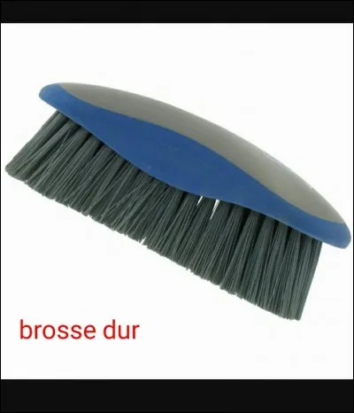 Quelle est cette brosse ?