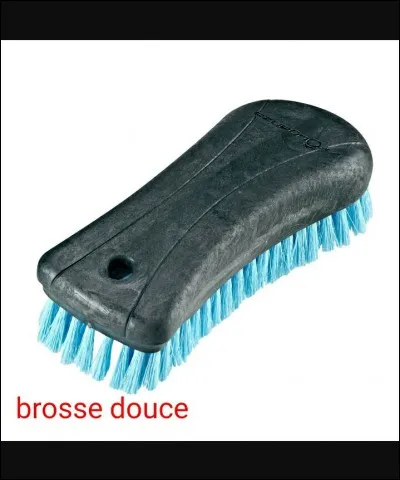 Quelle est cette brosse ?