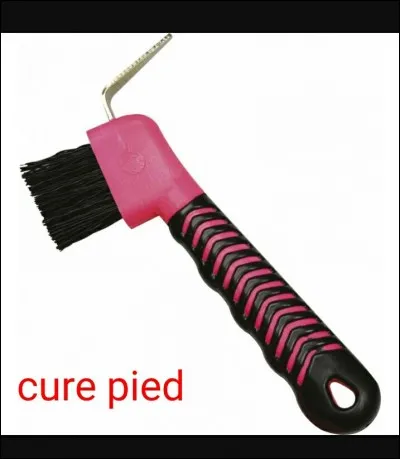 Quelle est cette brosse?