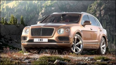 Quelle est cette marque ?