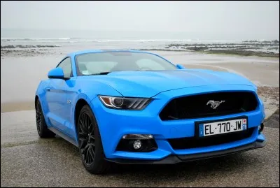 N°1 : Quelle est cette marque de voiture ?