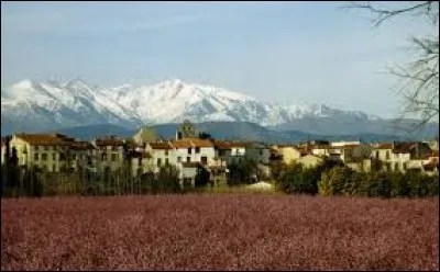 Commune d'Occitanie, avec le Pic du Canigou en toile de fond, Trouillas se situe dans le d&eacute;partement ...