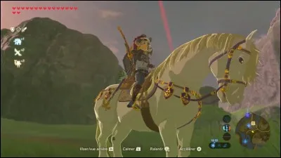 Peut-on capturer un cheval aux alentours de chaque relais ?