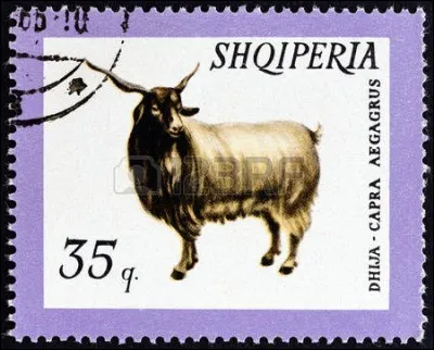 Si vous trouvez mon nom, c'est que vous êtes complètement timbré(e)s !