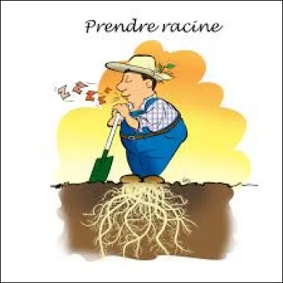 Que signifie l'expression : "Prendre racine" ?
