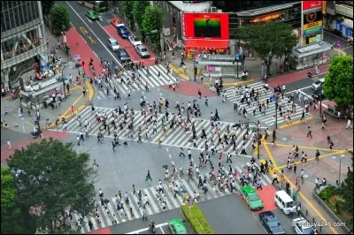 Où se trouve ces passages pour piétons mondialement connus ?