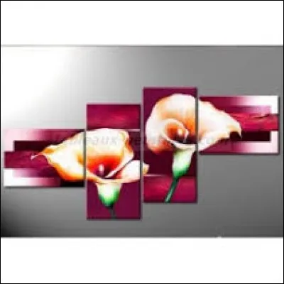 Unité de mesure de la définition d'une image numérique :