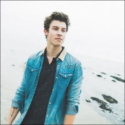 Par le service de sécurité de quel chanteur fut-il terrorisé ?