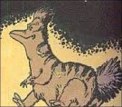 Quel est le nom de l'animal de compagnie, originaire de Alflolol ?