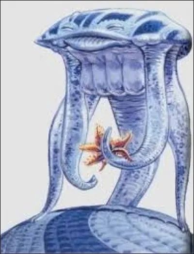 Comment s'appelle cette créature surdouée, véritable ordinateur vivant ?