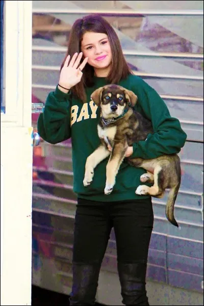 Combien d'animaux a-t-elle ?