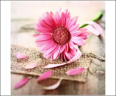 Il existe un jouet en caoutchouc, plutôt exotique, qui porte le prénom d'une sainte.