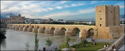C comme Cordoue : quel fleuve arrose la ville andalouse ?