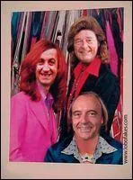 Les trois mousquetaires sont :