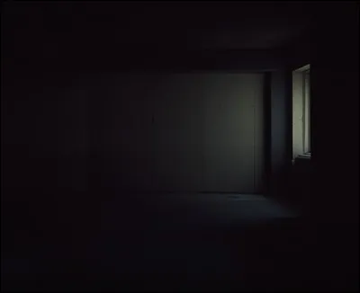 Vous &ecirc;tes enferm&eacute;s dans une salle vide et noire, il y a une porte et une fen&ecirc;tre pouvant &ecirc;tre ouvertes, mais elles d&eacute;gagent toutes les deux quelque chose de malsain. Que faites-vous ?