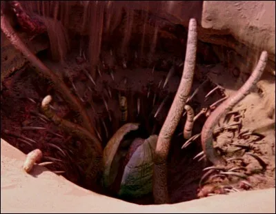 Autre monstre de la saga Starwars, le sarlacc est un specimen carnivore « animal-végétal », capable de conserver ses proies vivantes durant plusieurs siècles. Où vit ce monstre vénéré par Jabba le Hutt et sa cour ?