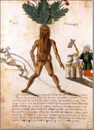 Cette gravure ancienne va rappeler des souvenirs aux fans du film... ?