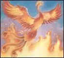 Magnifique crature, le phoenix signifie ...