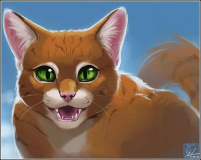 Quel(s) personnage(s) est(sont) l'(les) apprenti(e)(s) de Poil d'Écureuil ?