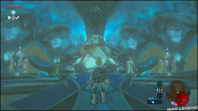 Comment s'appelle le chef des Zoras ?