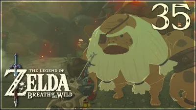 Comment s'appelle le chef des Gorons ?