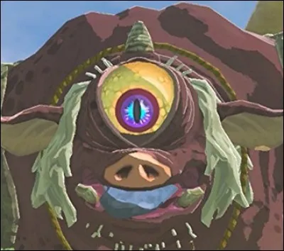 Combien y a-t-il d'Hinox différents ?