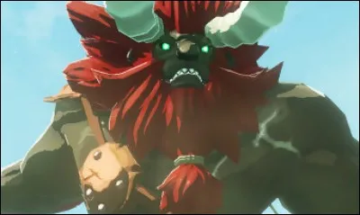 Combien y a-t-il de Lynels différents ?