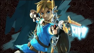 Pendant combien de temps Link dormit-il dans le sanctuaire de la Renaissance ?