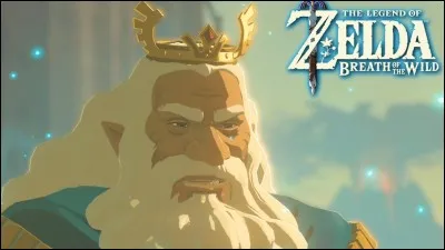 Quel est le nom du roi d'Hyrule ?