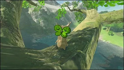 Combien y a-t-il de Korogus ?