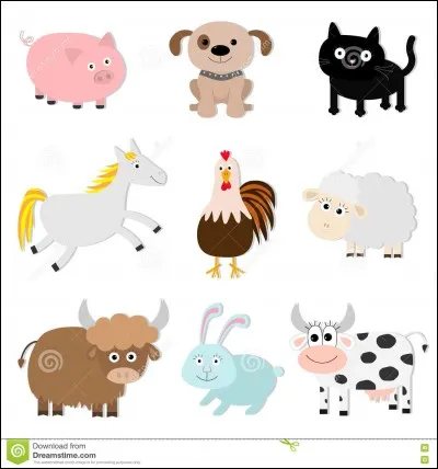 Quel est votre animal préféré ?