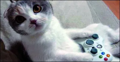 Quels jeux auriez-vous ?