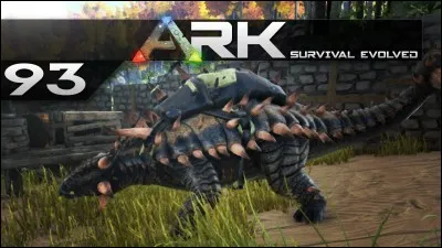 À quoi sert l'Ankilo ?