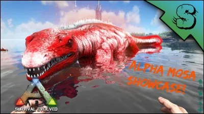 Peut-on tamer des Alphas ?