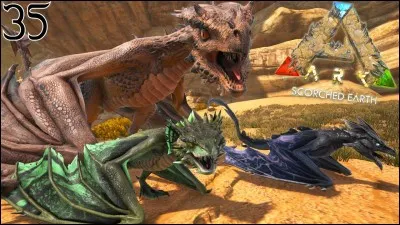 Comment fait-on pour avoir une Wyvern ?