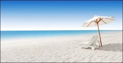 À la plage, l'activité que vous préférez est :