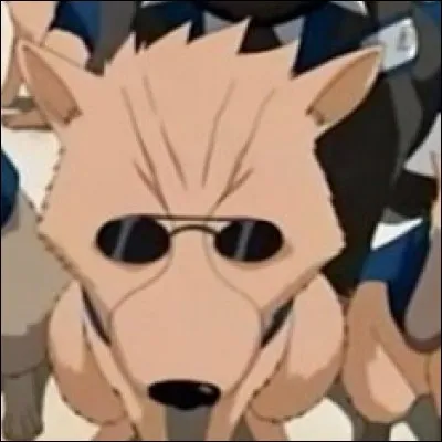 Il est un chien ninja que Kakashi invoque,c'est :
