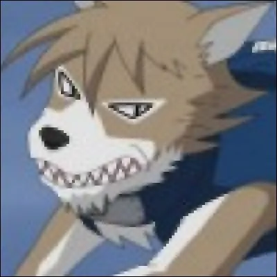 Je crois que c'est un chien de Naruto, qui est-ce ?