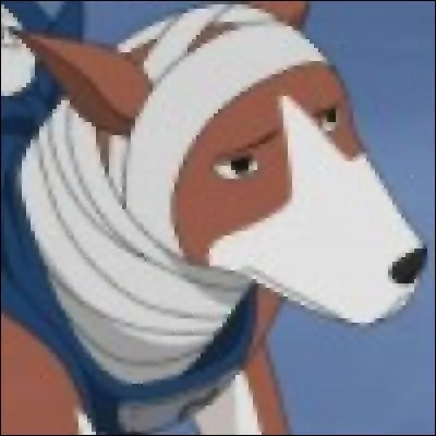 Le pauvre, il a des bandages ! Qui est-ce ?