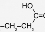 Quiz Quiz - Chimie organique (TS)