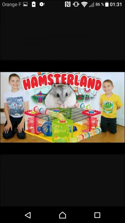 Comment s'appelle leur hamster ?