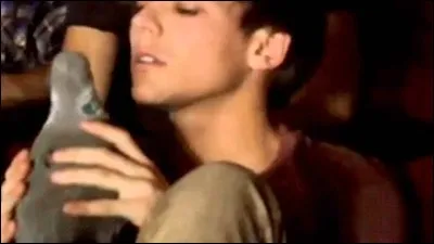 Dans quelle « Video Diary » Kevin le pigeon est-il apparu ?