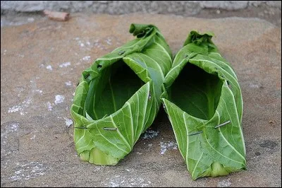 L'artiste Nicole Dextras a créé ces chaussures, probablement confortables mais s'usant très vite, avec des feuilles de chou ou de rhubarbe. Pour qui sont-elle idéales ?