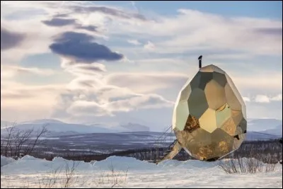 Ce bel oeuf doré, qui brille au soleil, a un usage particulier. Lequel ?