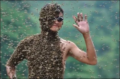 Cet homme est couvert d'abeilles, pour une certaine raison. Laquelle ?