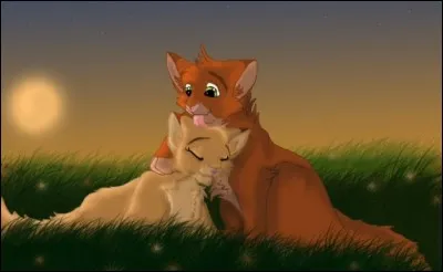 Mais elle tombe amoureuse d'un chat de son clan. C'est beau, mais qui est ce chat en question ?