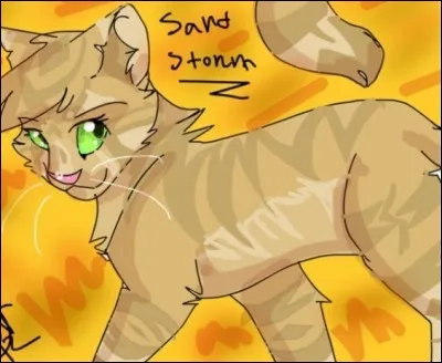 Revenons à Tempête de Sable. Quel est son physique ?