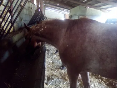 Quelle est cette robe ?