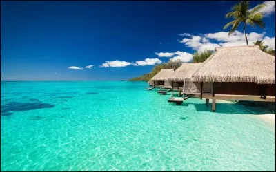 Évadons-nous un peu et allons voyager au bord de la mer. Quelle mer est appelée "la grande bleue" ?