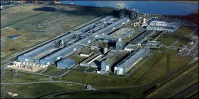 Quel géant industriel d'aluminium a été nationalisé en 1995 ?